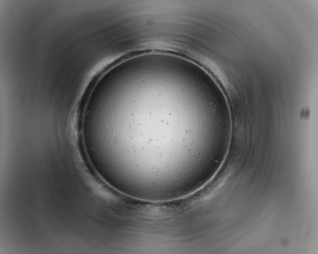 X0000103150987200808221326