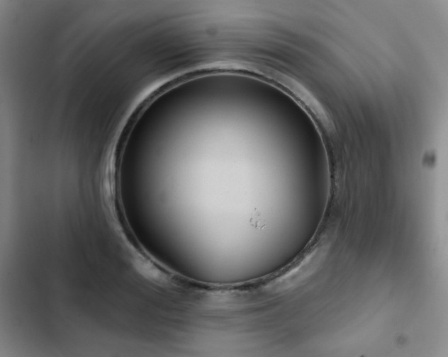 X0000103150988200808221326