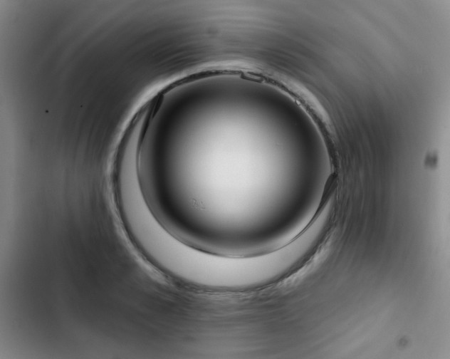 X0000103150989200808221326