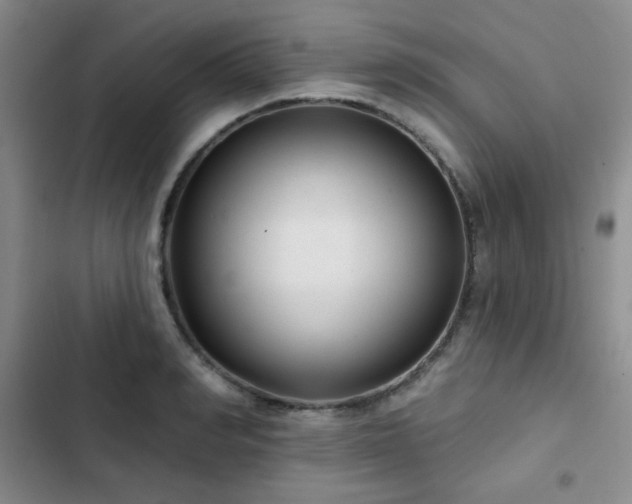 X0000103150990200808221326