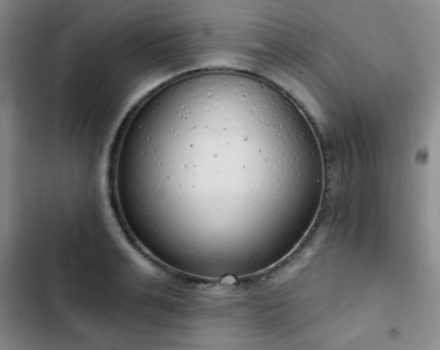 X0000103150991200808221326