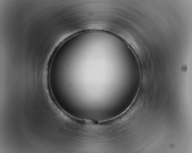 X0000103150992200808221326
