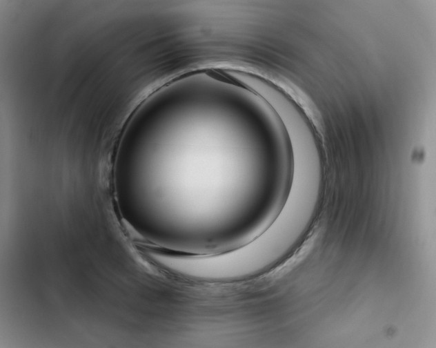 X0000103150993200808221326
