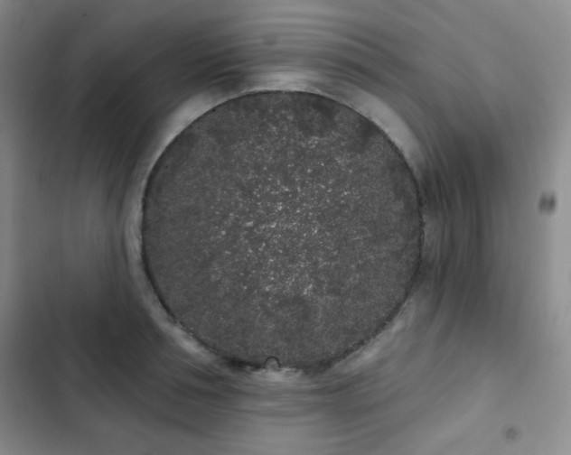X0000103150994200808221326