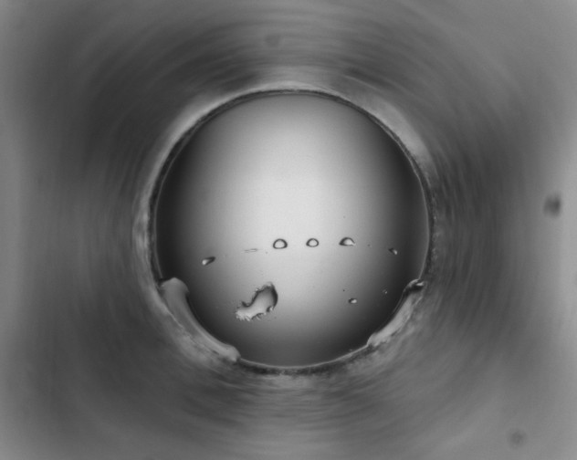 X0000103150996200808221326