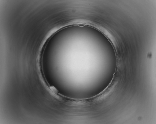 X0000103150997200808221326