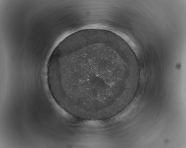 X0000103150998200808221326