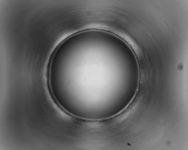 X0000103150999200808221326