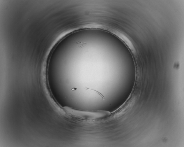 X0000103151000200808221326