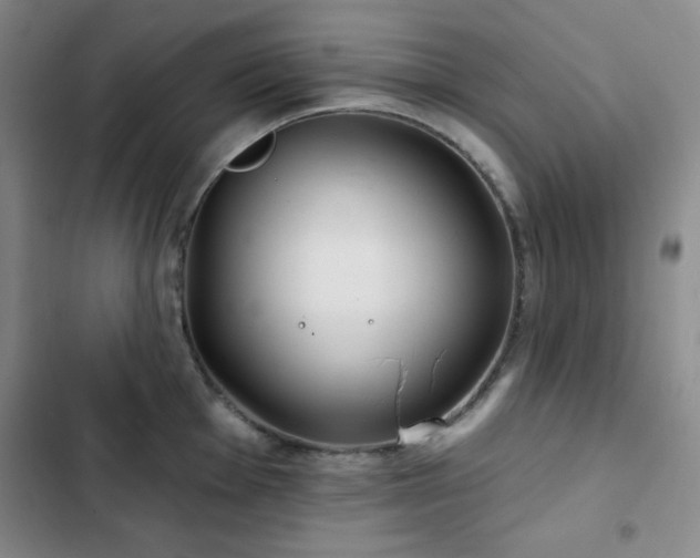 X0000103151001200808221326