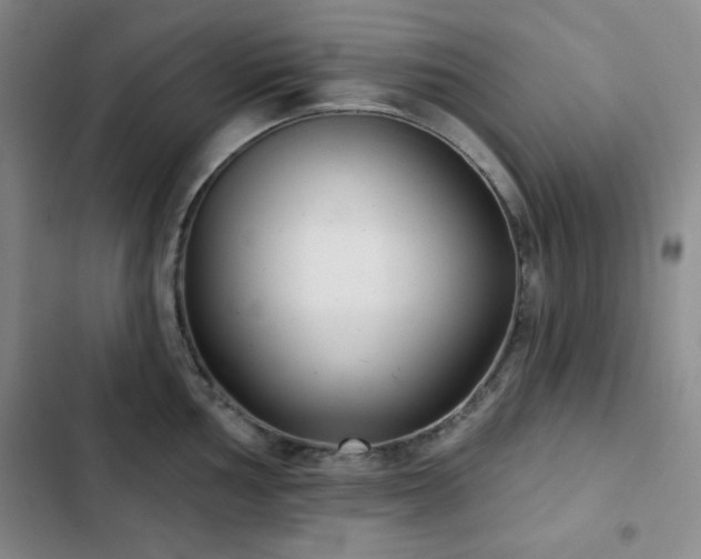 X0000103151002200808221326