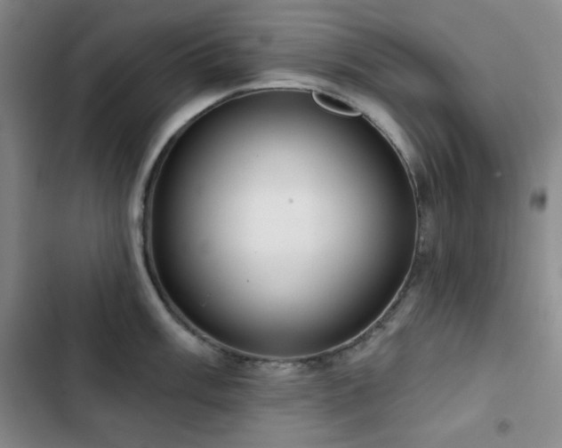 X0000103151003200808221326