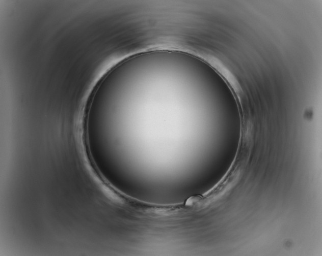 X0000103151005200808221326