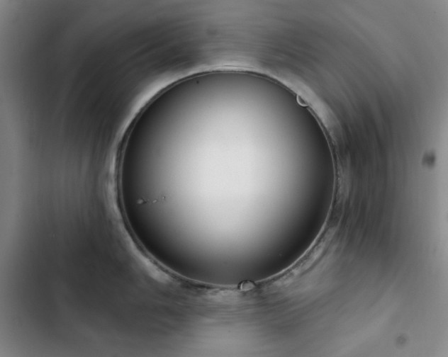 X0000103151006200808221326