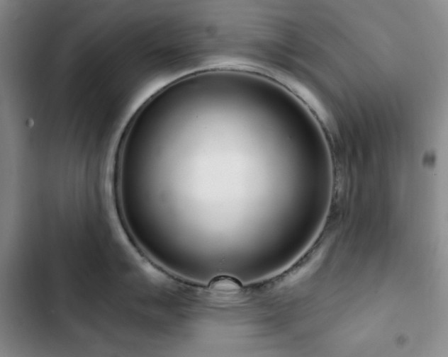 X0000103151007200808221326