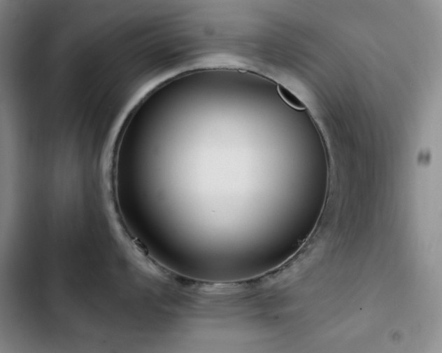 X0000103151008200808221326