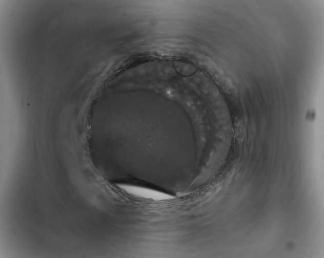 X0000103151009200808221325