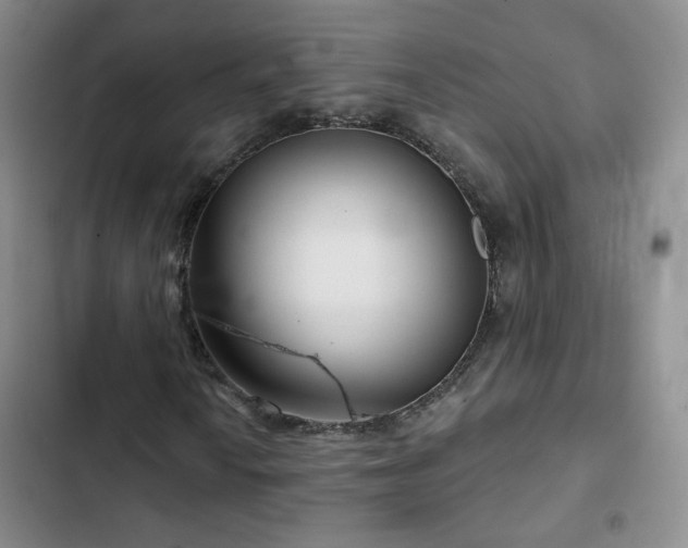 X0000103151010200808221325