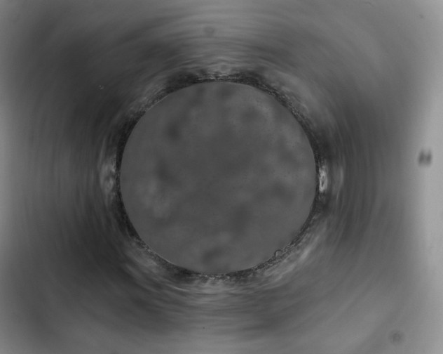 X0000103151011200808221325