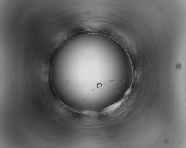X0000103151012200808221325