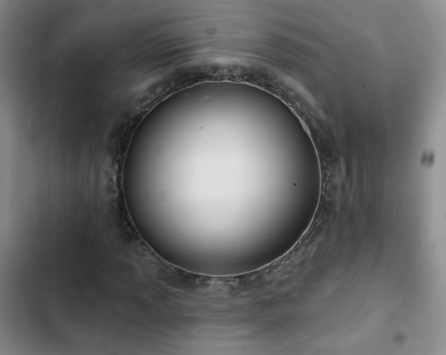 X0000103151013200808221325