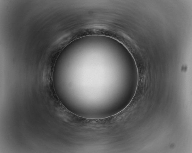 X0000103151014200808221325