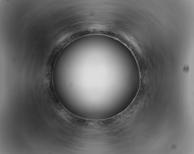 X0000103151015200808221325
