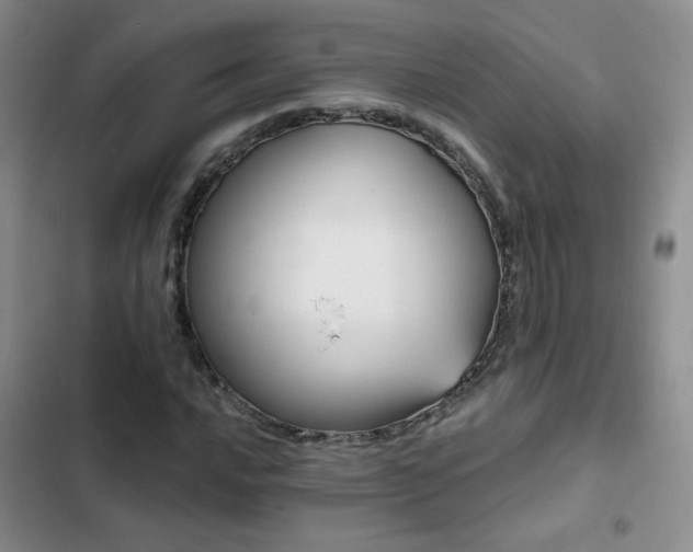 X0000103151016200808221325