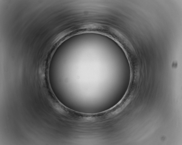 X0000103151017200808221326
