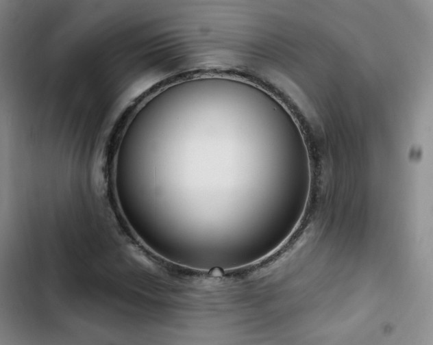X0000103151018200808221326