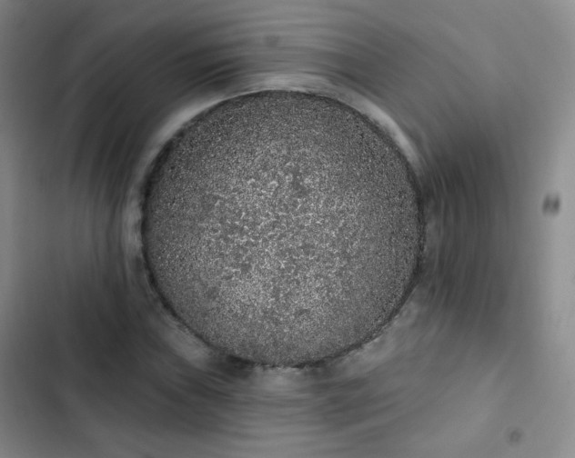 X0000103151019200808221326