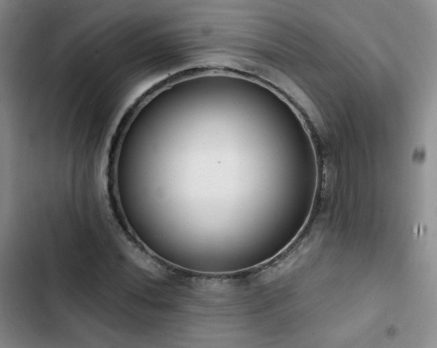 X0000103151020200808221326