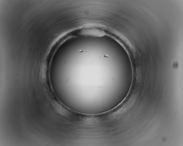 X0000103151021200808221326