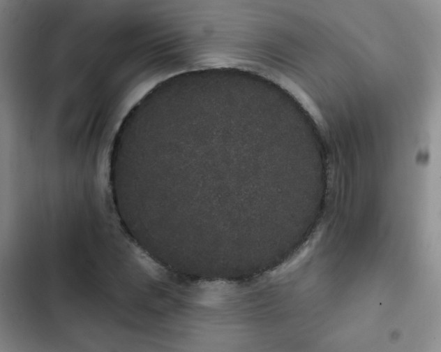 X0000103151023200808221326