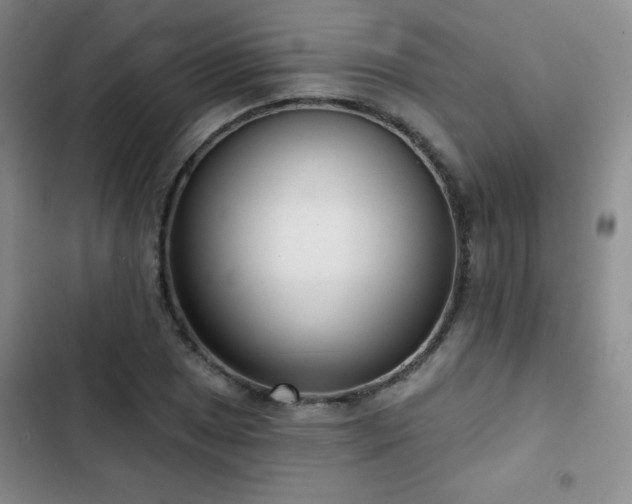 X0000103151025200808221326
