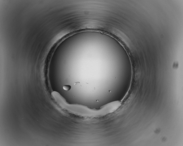 X0000103151026200808221326