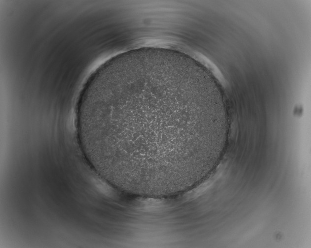 X0000103151027200808221326