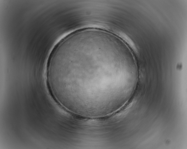 X0000103151028200808221326