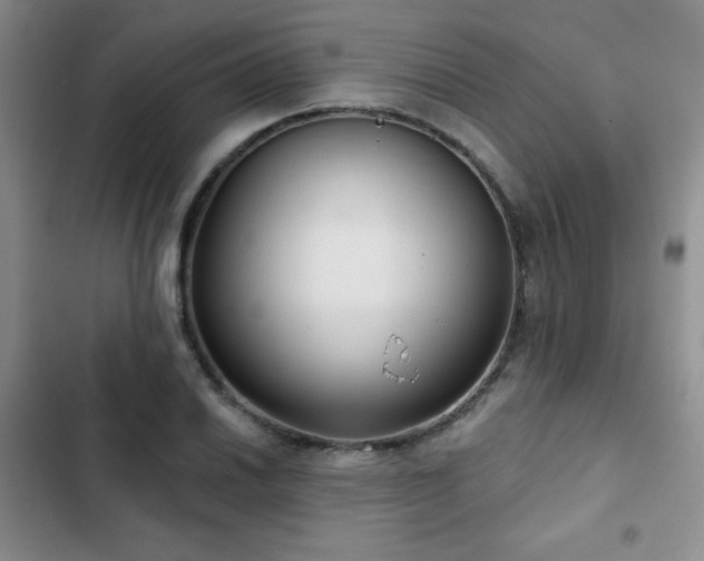 X0000103151030200808221326