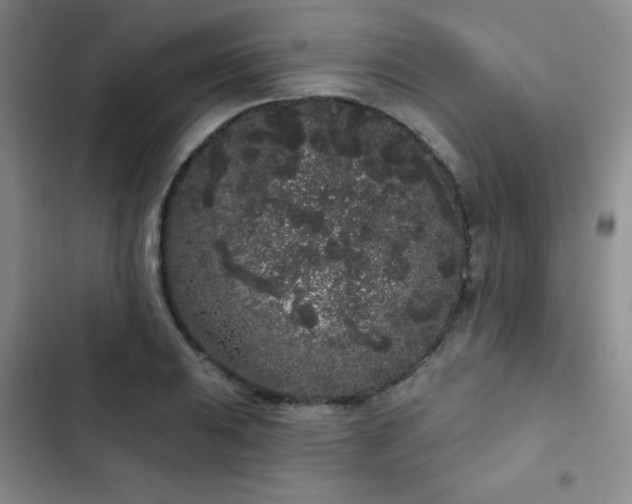 X0000103151031200808221326