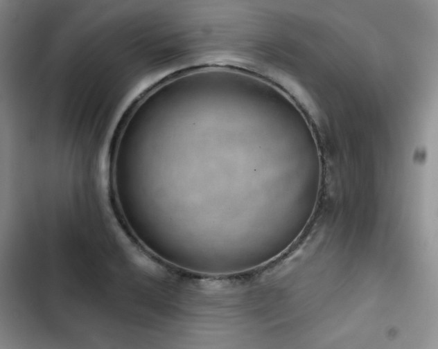 X0000103151032200808221326