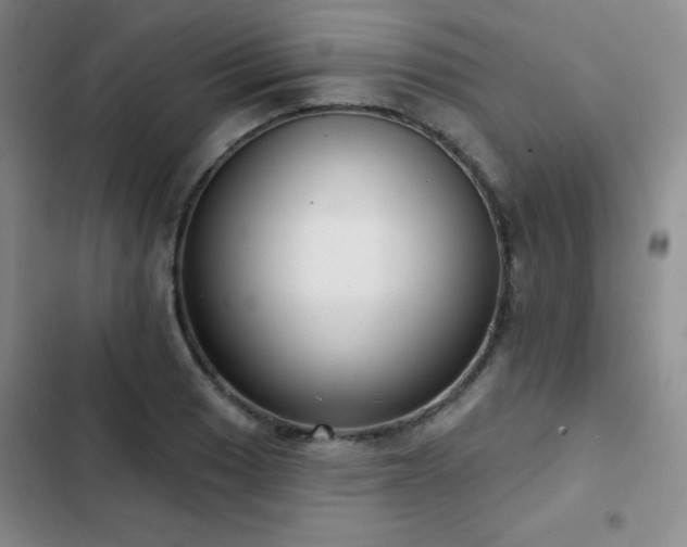X0000103151033200808221326