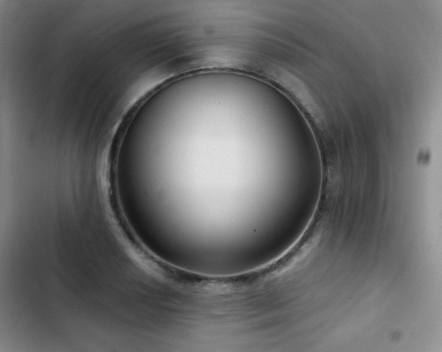 X0000103151034200808221326
