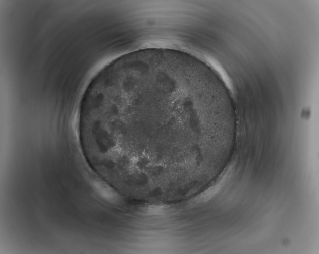 X0000103151035200808221326