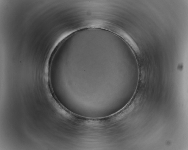X0000103151036200808221326