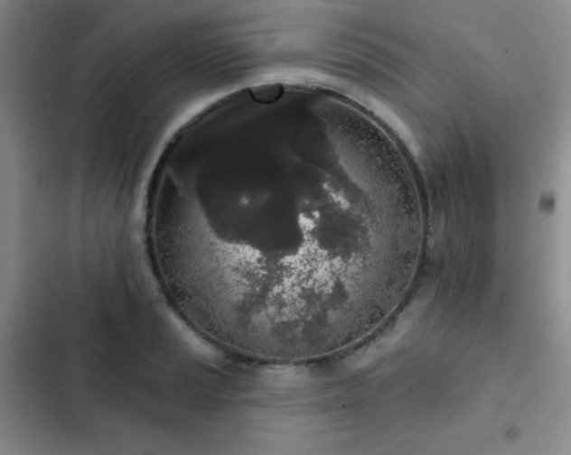 X0000103151037200808221326
