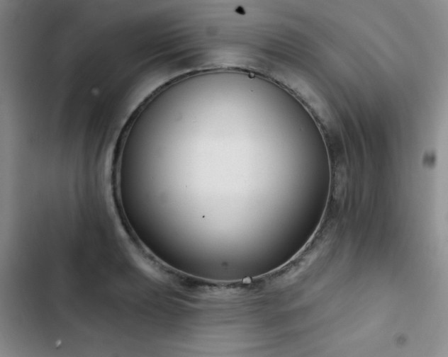 X0000103151039200808221326