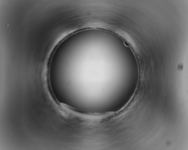 X0000103151040200808221326