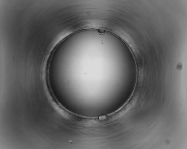 X0000103151042200808221326