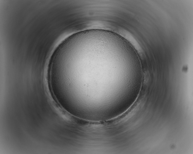 X0000103151043200808221326